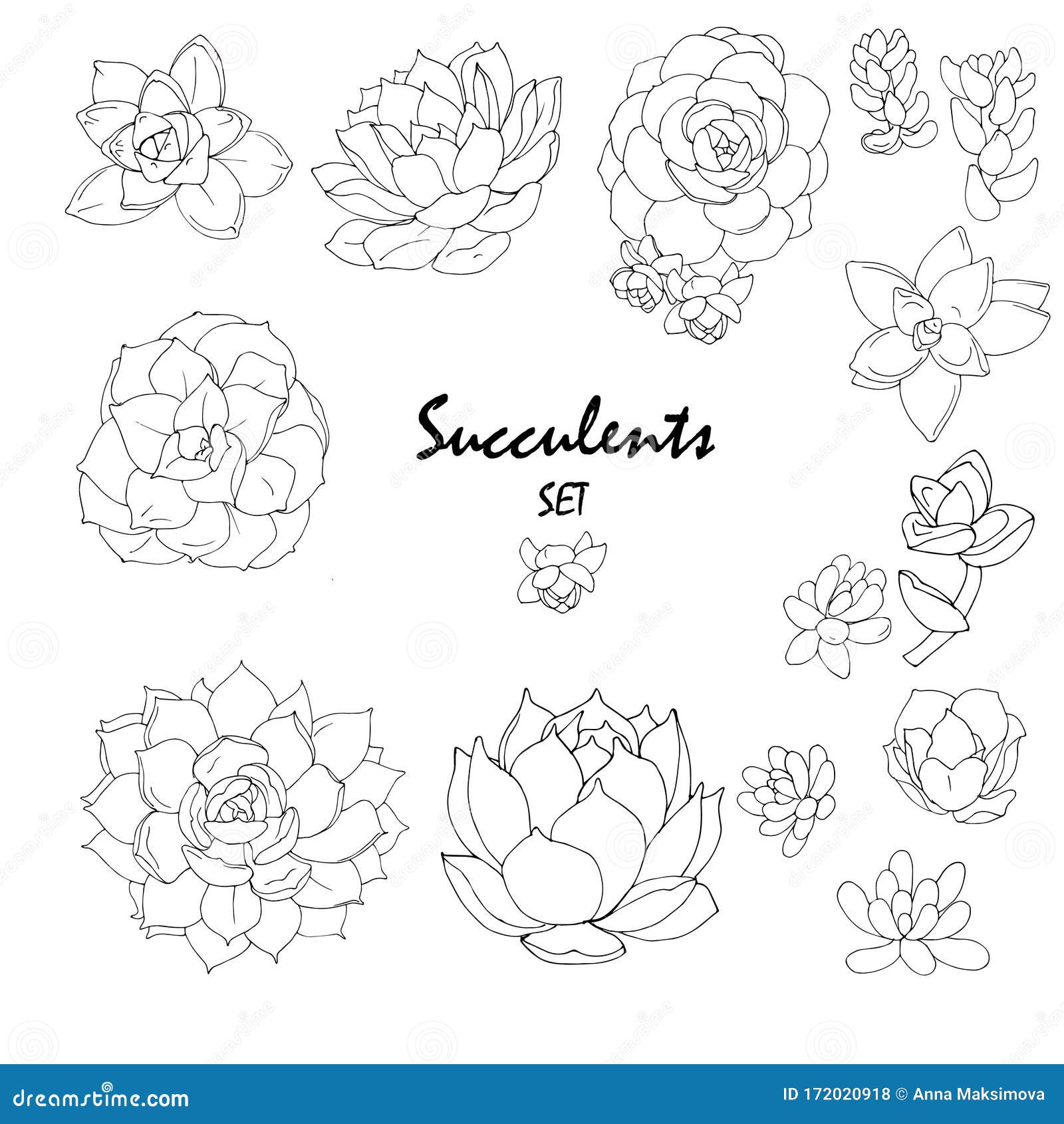 succulents of different types black and white